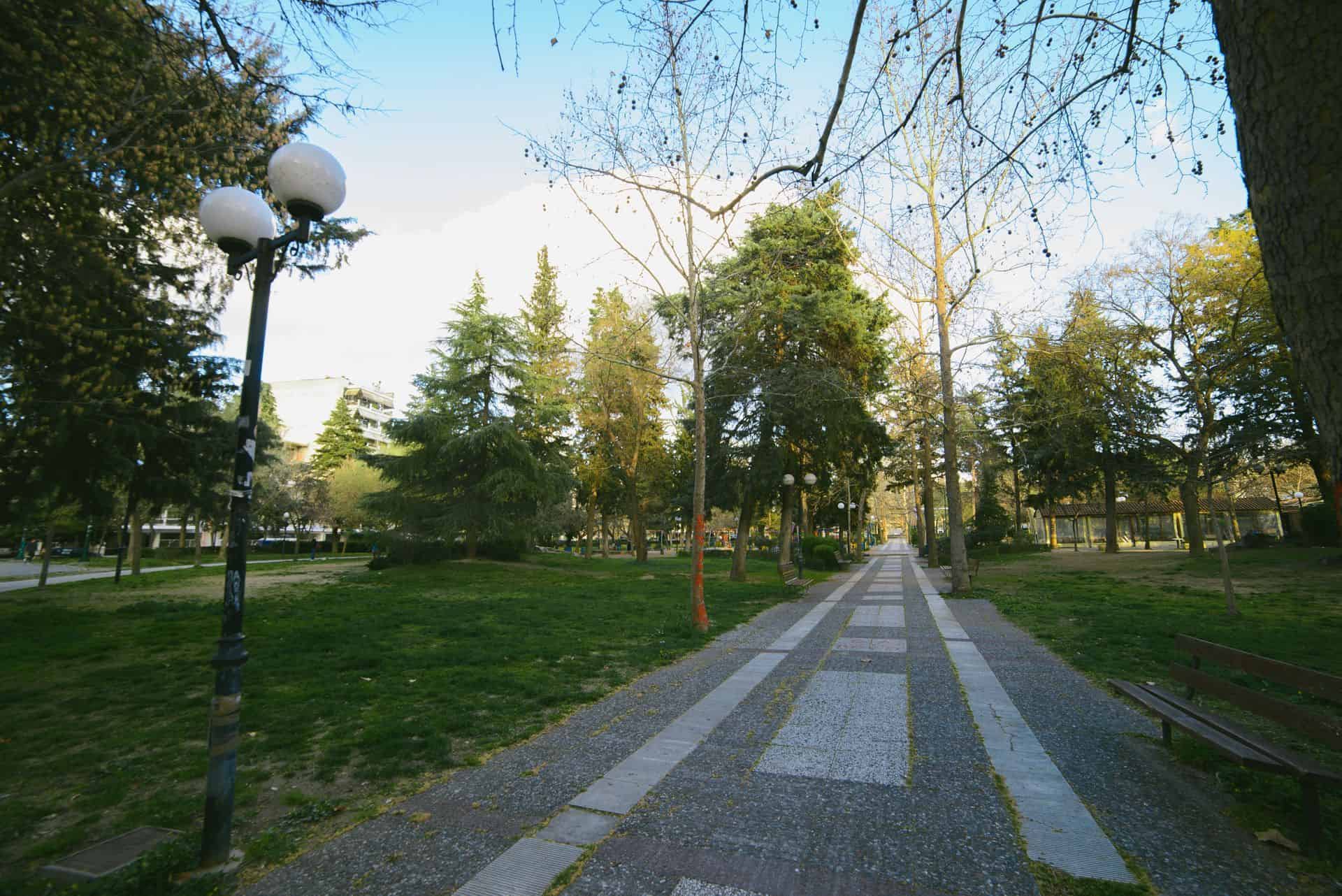 Λάρισα: η πράσινη "θύελλα" του κάμπου